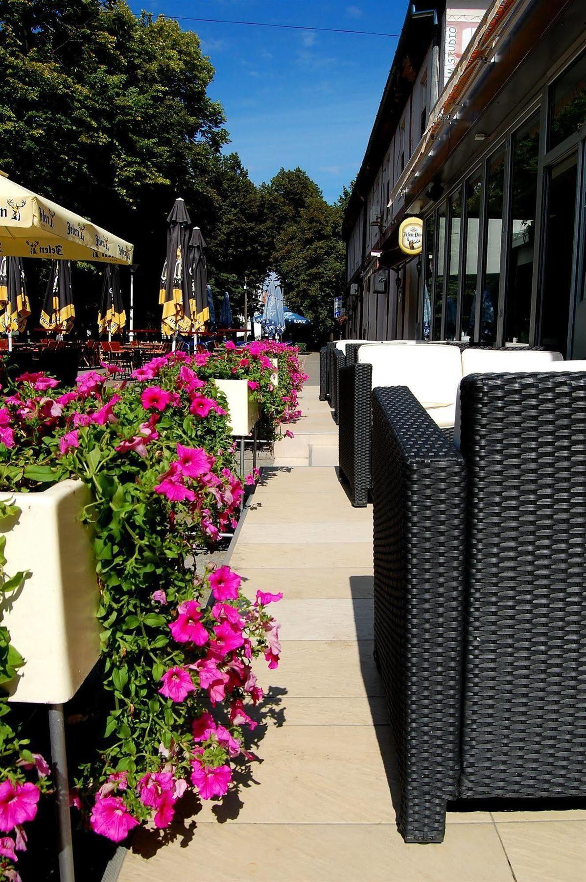 Hotel Tiski Cvet Novi Bečej Exteriér fotografie